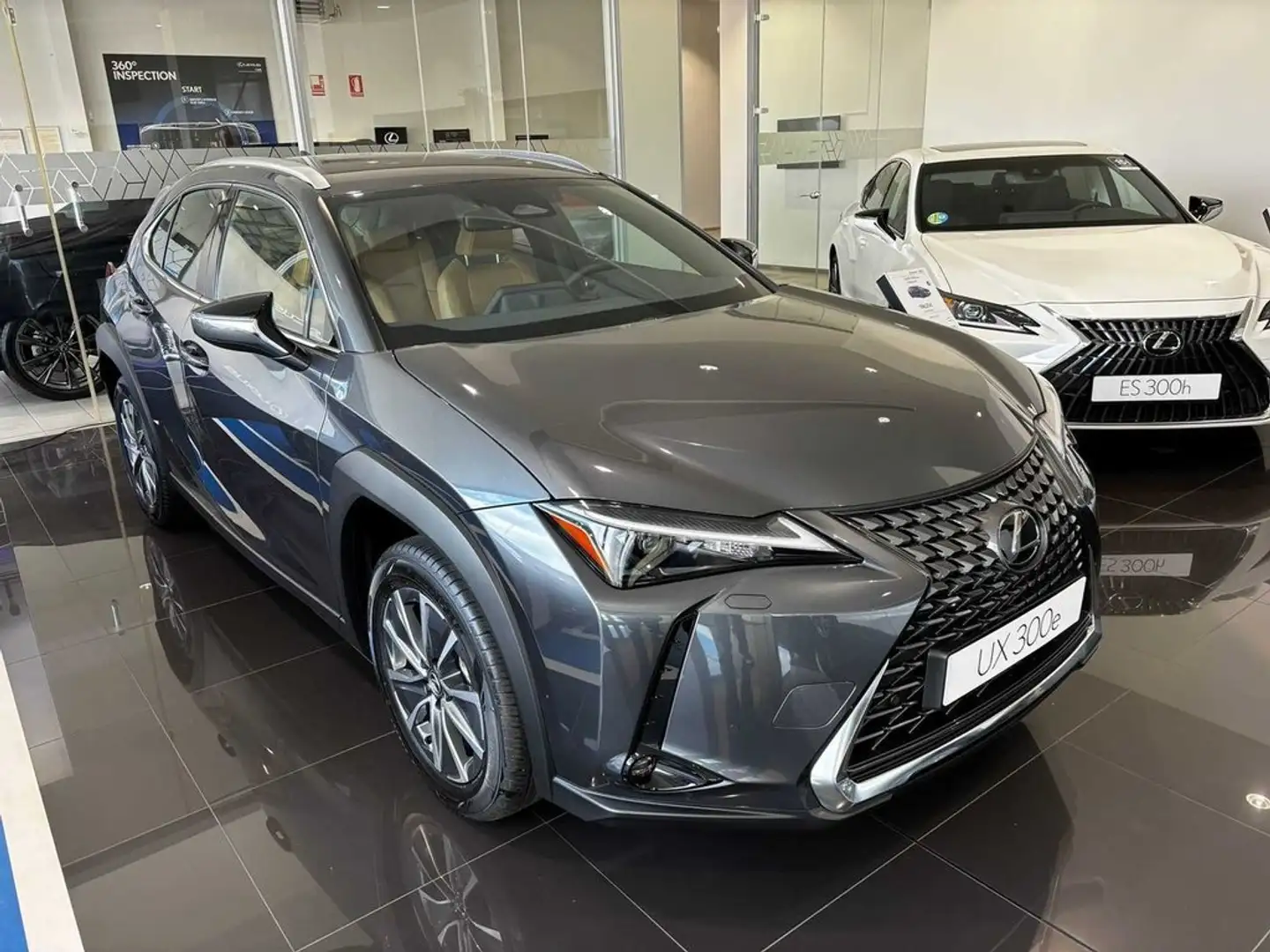 Lexus UX 300e + Grijs - 2