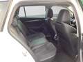 Skoda Octavia Combi iV FIRST EDITION LM18 MATRIX HEAD- Weiß - thumbnail 6