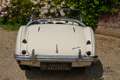 Austin-Healey 100 100M Roadster "100M Le Mans Registry" Recorded in Weiß - thumbnail 24