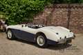 Austin-Healey 100 100M Roadster "100M Le Mans Registry" Recorded in Weiß - thumbnail 42