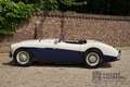 Austin-Healey 100 100M Roadster "100M Le Mans Registry" Recorded in Weiß - thumbnail 35