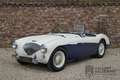 Austin-Healey 100 100M Roadster "100M Le Mans Registry" Recorded in Weiß - thumbnail 1