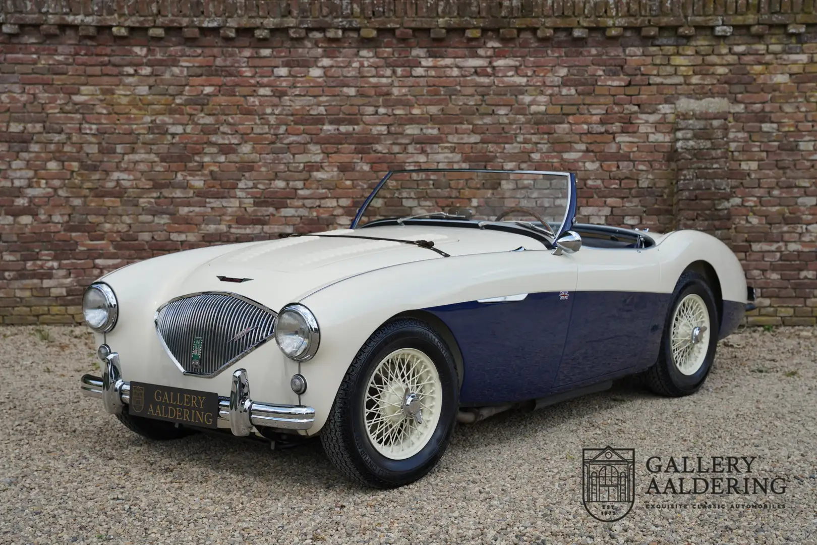 Austin-Healey 100 100M Roadster "100M Le Mans Registry" Recorded in Weiß - 1