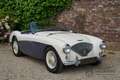 Austin-Healey 100 100M Roadster "100M Le Mans Registry" Recorded in Weiß - thumbnail 26