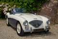 Austin-Healey 100 100M Roadster "100M Le Mans Registry" Recorded in Weiß - thumbnail 46