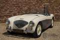 Austin-Healey 100 100M Roadster "100M Le Mans Registry" Recorded in Weiß - thumbnail 38