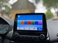 Ford EcoSport Titanium 13 TKm KAMERA NAVI Grau - thumbnail 12