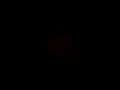 BMW M2 Coupé HUD CarbonDach el. Sitz H/K Individual Grün - thumbnail 10