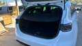 Kia Ceed / cee'd Tourer 1.0 T-GDi Style Edition 100 Blanco - thumbnail 17