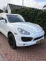 Porsche Cayenne 4.8 s Wit - thumbnail 2
