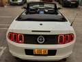 Ford Mustang USA 3.7 V6 AUT Cabriolet ROUSH CHARGED NAVI CARPLA Wit - thumbnail 40