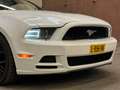 Ford Mustang USA 3.7 V6 AUT Cabriolet ROUSH CHARGED NAVI CARPLA Wit - thumbnail 9