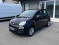 Fiat Panda Panda 1.2 Easy s 69CV Neopatentati Nero - thumbnail 3