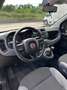 Fiat Panda Panda 1.2 Easy s 69CV Neopatentati Nero - thumbnail 9