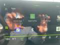 Dacia Duster Extreme TCe 130 4x4 Grün - thumbnail 14