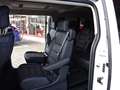 Citroen Spacetourer BlueHDI 180 S&S EAT8 XL Bus Loung. 6 Sitzer Shine Weiß - thumbnail 15