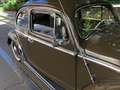 Volkswagen Maggiolino Ovalino Marrone - thumbnail 6