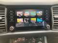 Skoda Kodiaq 2.0 TDI L&K 4x4 LED.BUSINESSPAKET.SignA.AMBIENTE.M Gris - thumbnail 14