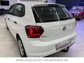 Volkswagen Polo VI Trendline Weiß - thumbnail 5