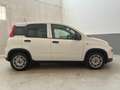 Fiat New Panda ALLESTIMENTO VAN - thumbnail 5