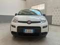 Fiat New Panda ALLESTIMENTO VAN - thumbnail 1