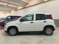 Fiat New Panda ALLESTIMENTO VAN - thumbnail 4