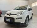 Fiat New Panda ALLESTIMENTO VAN - thumbnail 2