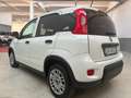 Fiat New Panda ALLESTIMENTO VAN - thumbnail 7