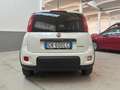 Fiat New Panda ALLESTIMENTO VAN - thumbnail 8