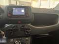 Fiat New Panda ALLESTIMENTO VAN - thumbnail 12