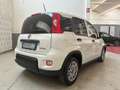 Fiat New Panda ALLESTIMENTO VAN - thumbnail 6