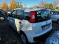 Fiat Panda 1.2 Easy + GPL Blanc - thumbnail 5
