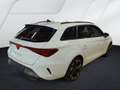 CUPRA Leon ST 1.5 eTSI DSG / Navi, FullLink, LED, RFK Weiß - thumbnail 3