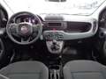 Fiat Panda 4x2 FireFly Hybrid 70 Schwarz - thumbnail 10