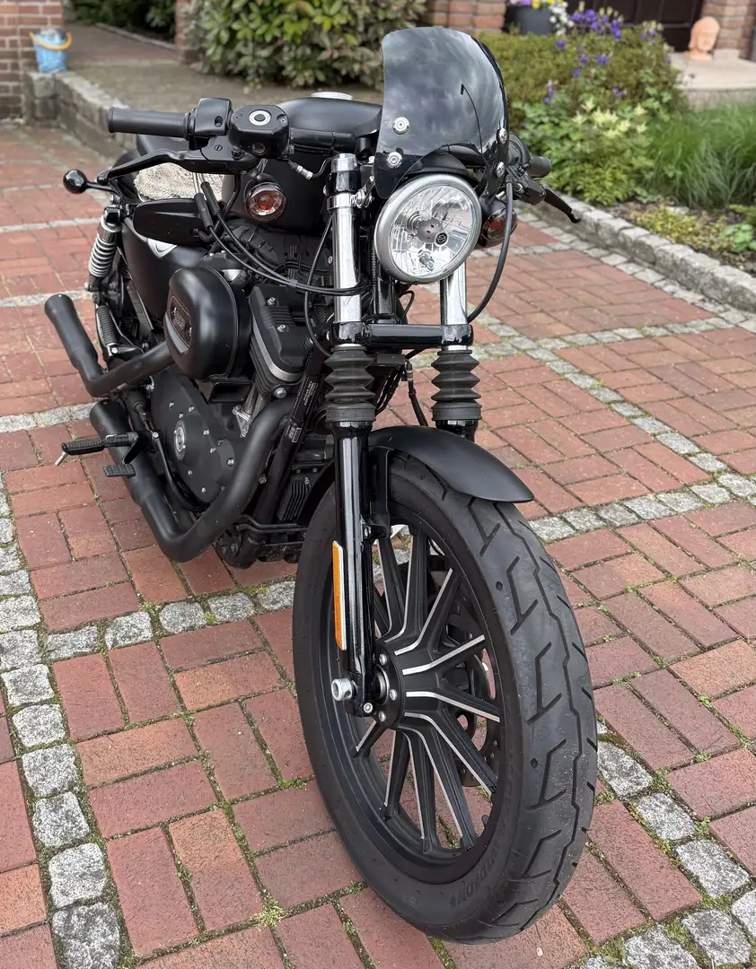Harley-Davidson Iron 883 Bobber-Umbau - 2