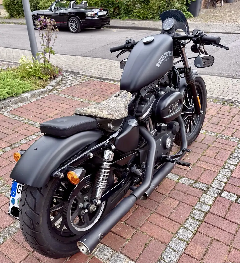 Harley-Davidson Iron 883 Bobber-Umbau - 1