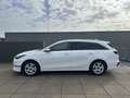 Kia Ceed SW / cee'd SW Sportswagon 1.5 T-GDi DynamicPlusLine 6-BAK TREKHA Wit - thumbnail 2