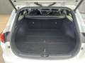 Kia Ceed SW / cee'd SW Sportswagon 1.5 T-GDi DynamicPlusLine 6-BAK TREKHA Wit - thumbnail 23