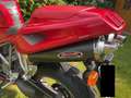 Ducati 998 S - Liebhaber, einer der letzten die gebaut wurde Red - thumbnail 7