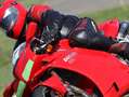 Ducati 998 S - Liebhaber, einer der letzten die gebaut wurde Red - thumbnail 1