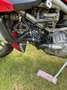 Ducati 998 S - Liebhaber, einer der letzten die gebaut wurde Rot - thumbnail 18