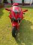 Ducati 998 S - Liebhaber, einer der letzten die gebaut wurde Red - thumbnail 5