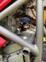 Ducati 998 S - Liebhaber, einer der letzten die gebaut wurde Rot - thumbnail 16
