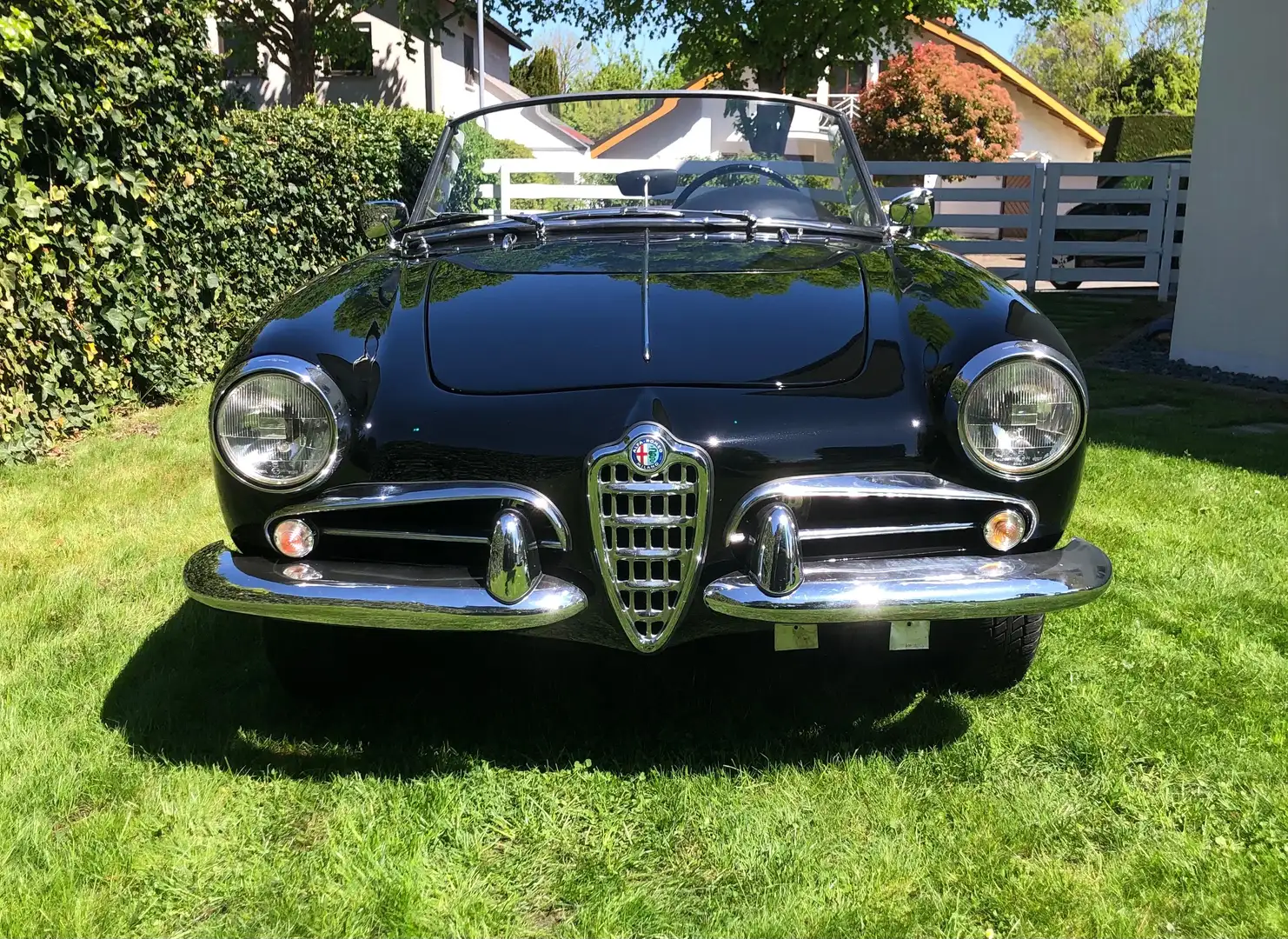 Alfa Romeo Giulietta Spider 1600 Noir - 2