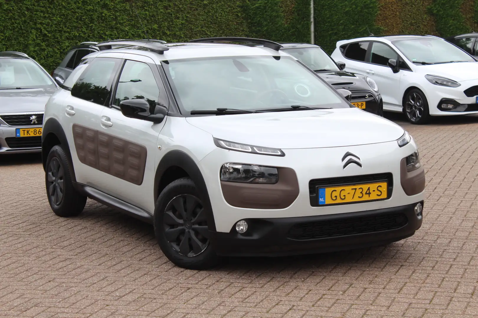 Citroen C4 Cactus 1.6 BlueHDi Business / Panoramadak / Camera / Lede Wit - 1