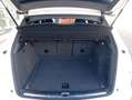 Audi Q5 3.0TDI quattro Ambition S-Tronic 245 Blanc - thumbnail 15
