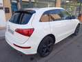 Audi Q5 3.0TDI quattro Ambition S-Tronic 245 Blanc - thumbnail 12