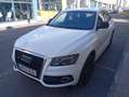 Audi Q5 3.0TDI quattro Ambition S-Tronic 245 Blanc - thumbnail 11