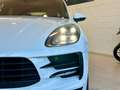 Porsche Macan 2.0 *SPORT CHRONO*TETTO*BOSE*18 VIE*21"*CARPLAY* Weiß - thumbnail 6