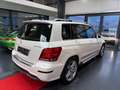 Mercedes-Benz GLK 250 AMG-Paket 4M/Xenon-ILS/Memory/Leder Blanco - thumbnail 5